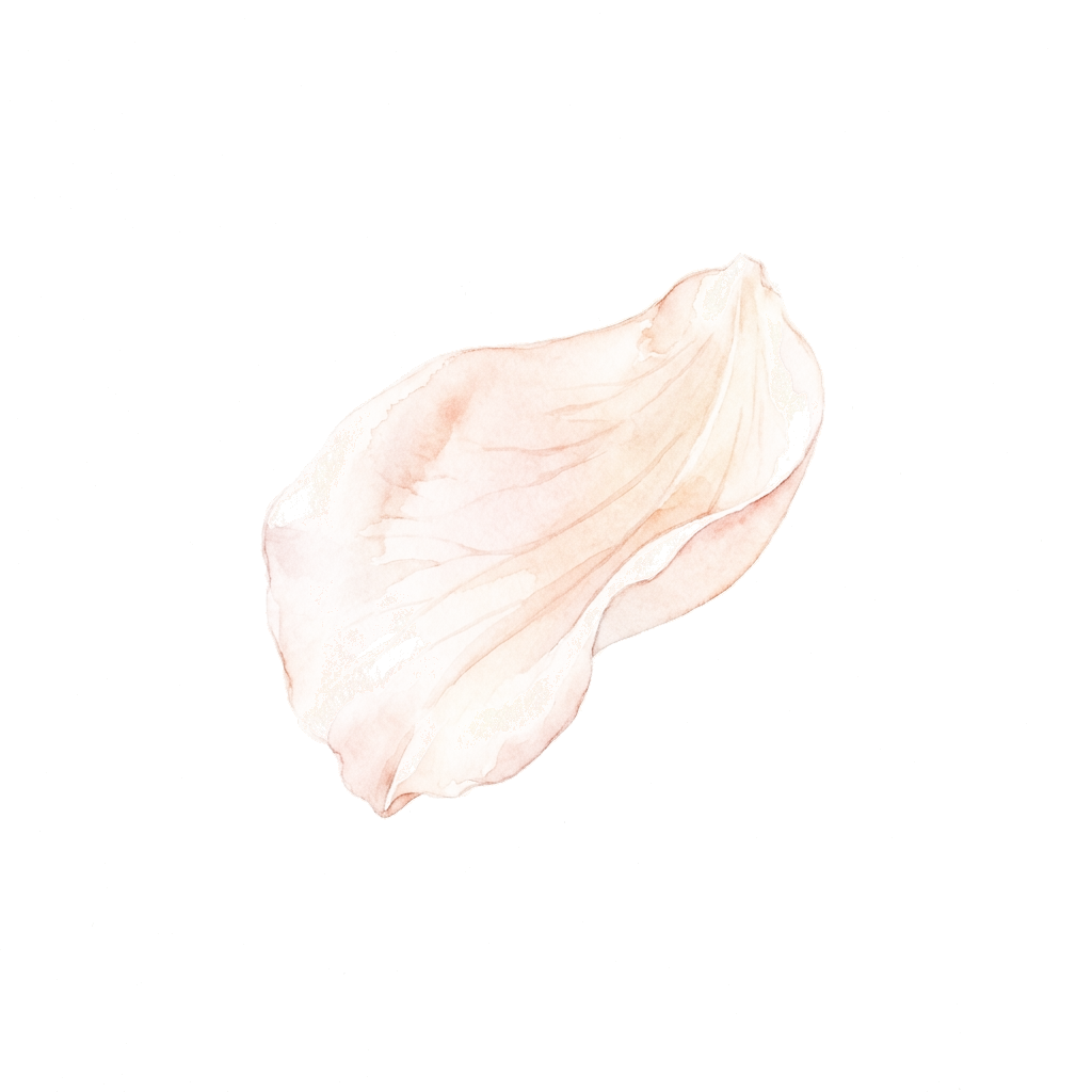 Pétalo